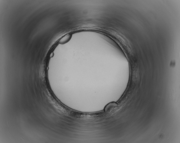 X0000093731458200711060949