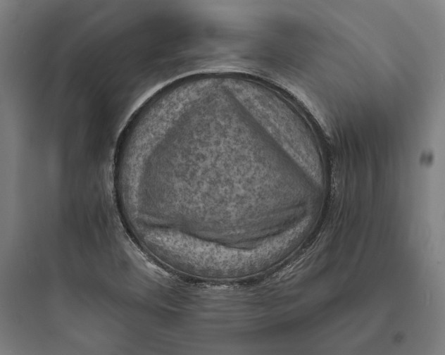 X0000093731460200711060949