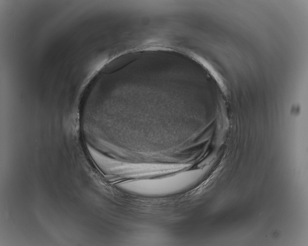 X0000093731461200711060949