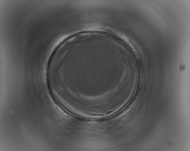 X0000093731463200711060949