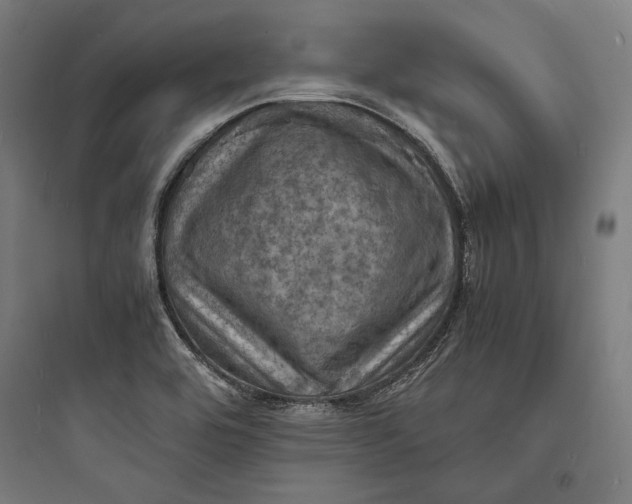 X0000093731464200711060949