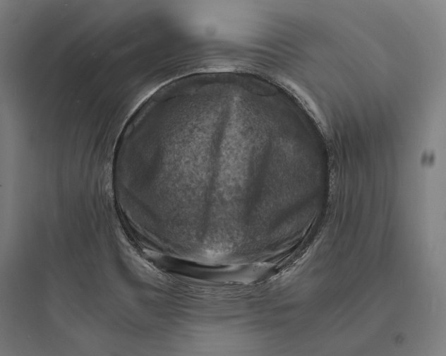 X0000093731465200711060949