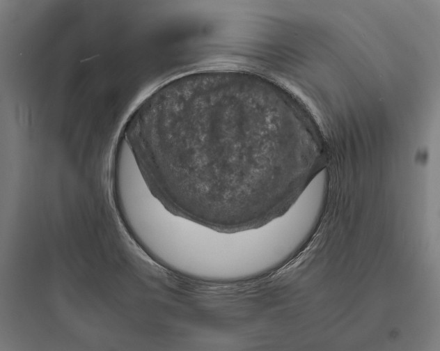 X0000093731467200711060949