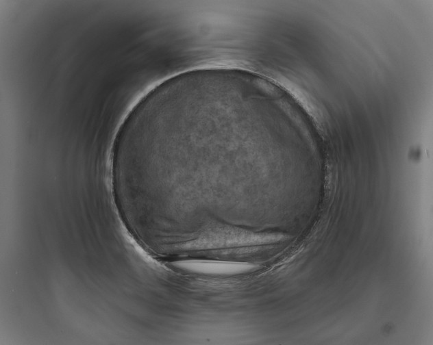 X0000093731468200711060949