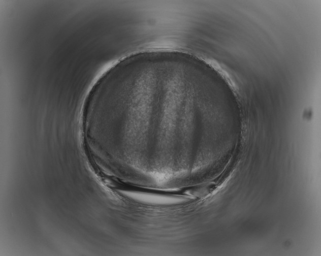 X0000093731469200711060949