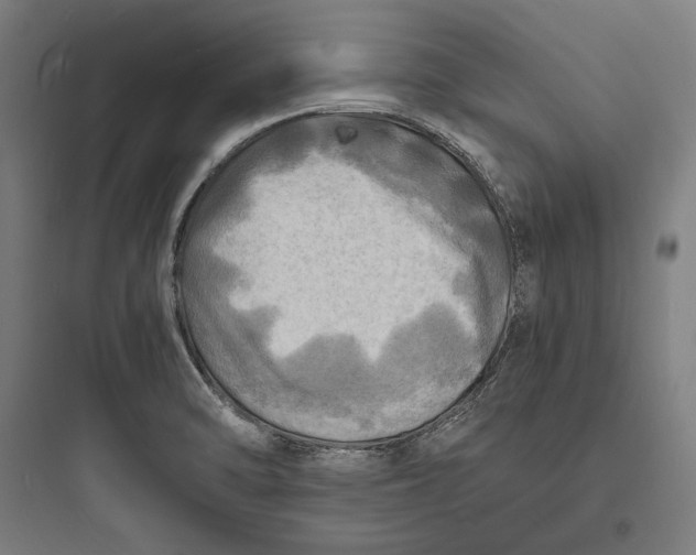 X0000093731470200711060949