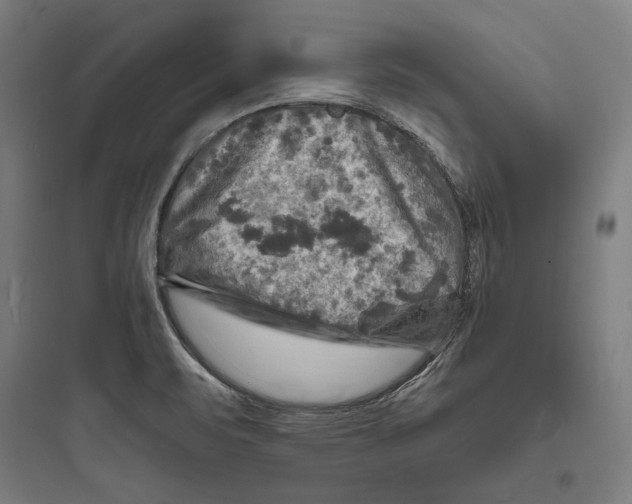 X0000093731471200711060949