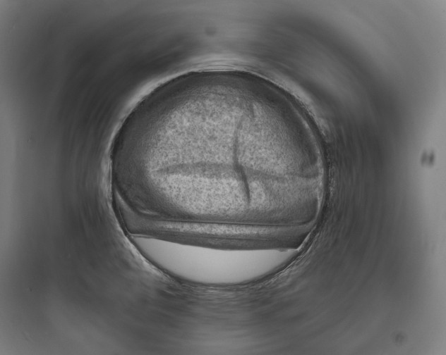 X0000093731472200711060949