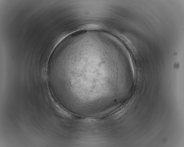 X0000093731473200711060949