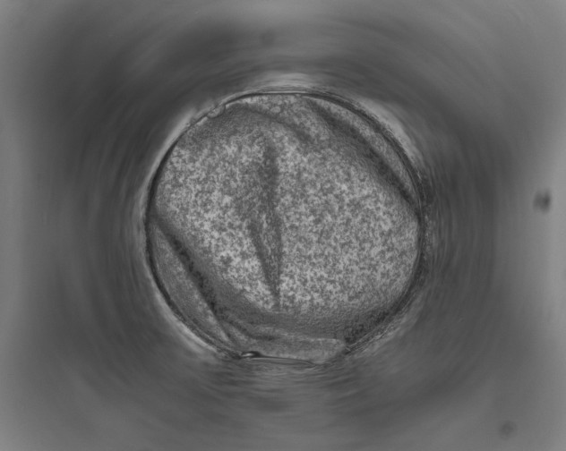 X0000093731475200711060949