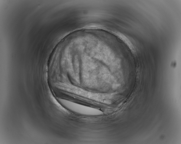 X0000093731476200711060949