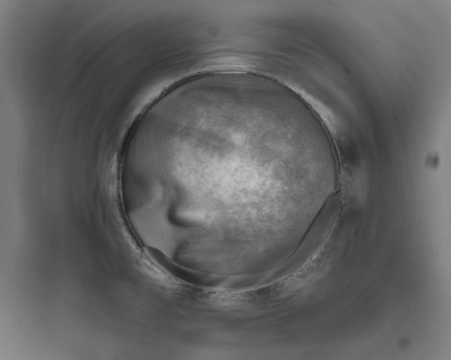 X0000093731477200711060949