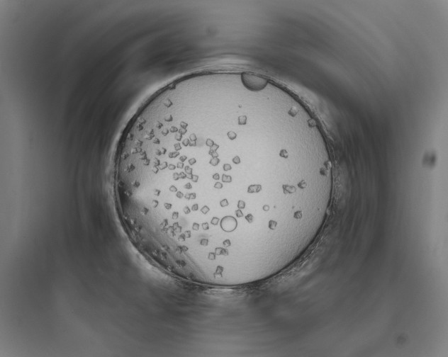 X0000093731478200711060949