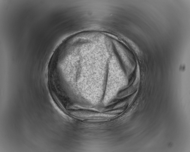 X0000093731479200711060949