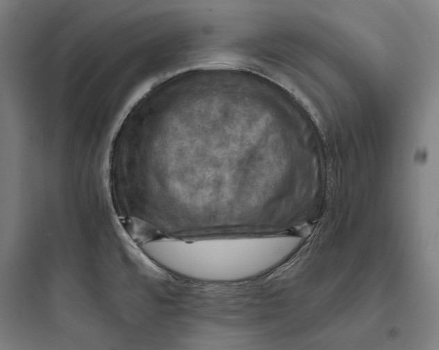 X0000093731480200711060949