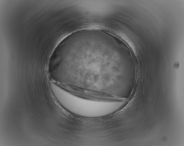 X0000093731481200711060949