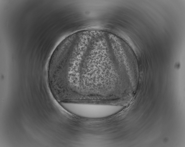 X0000093731483200711060949