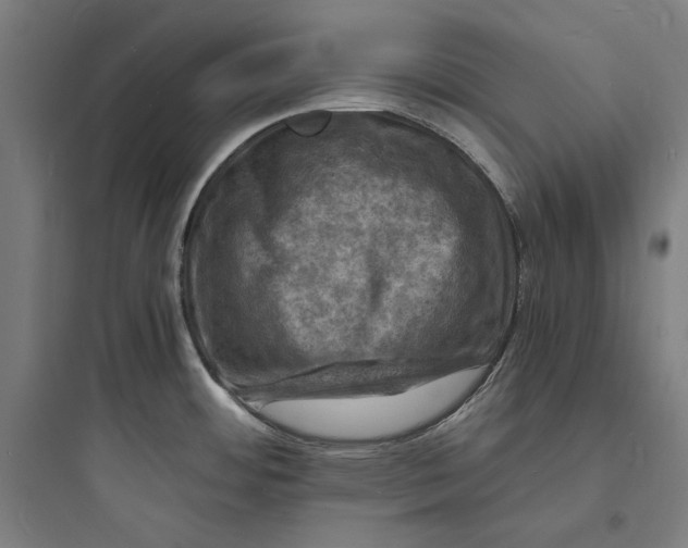 X0000093731484200711060949