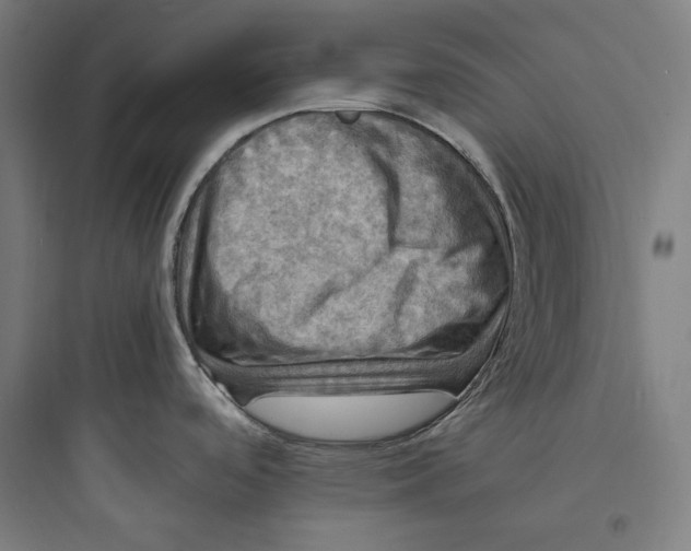 X0000093731488200711060949