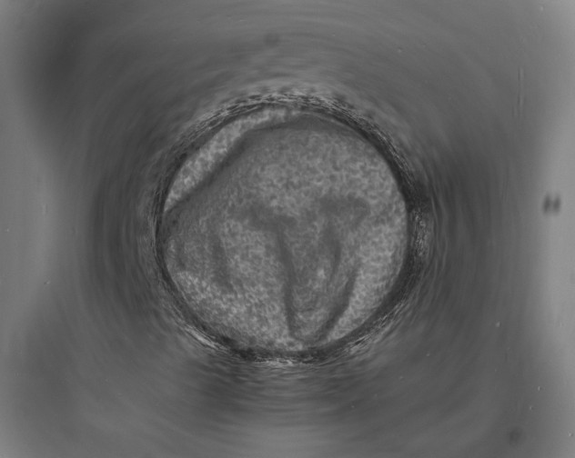 X0000093731489200711060948