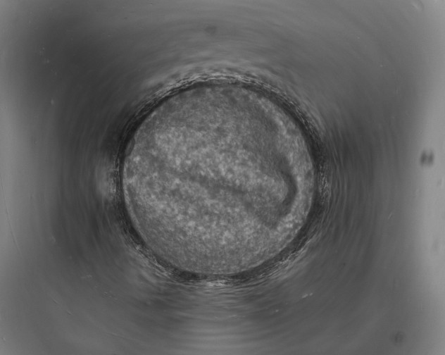 X0000093731490200711060948