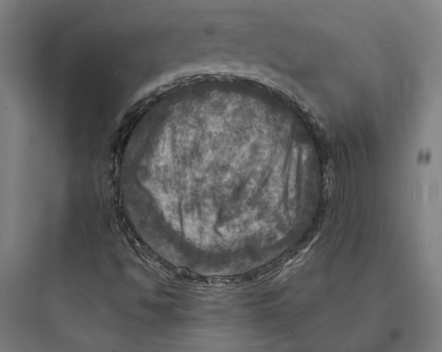 X0000093731494200711060948