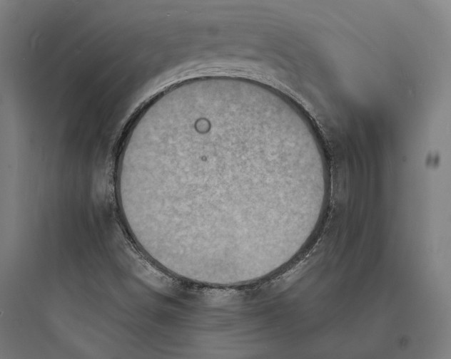 X0000093731498200711060948