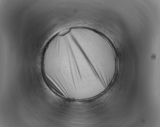 X0000093731500200711060948