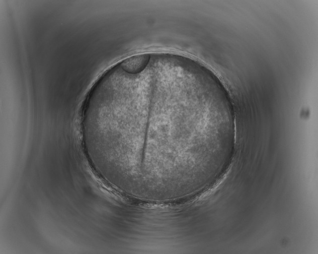 X0000093731501200711060948