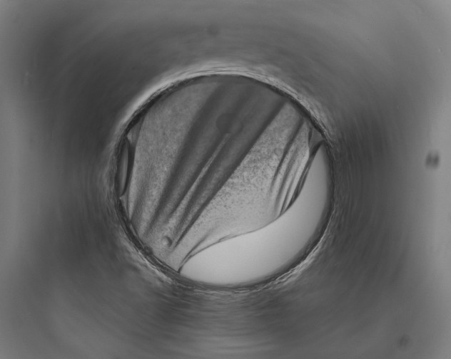 X0000093731502200711060948