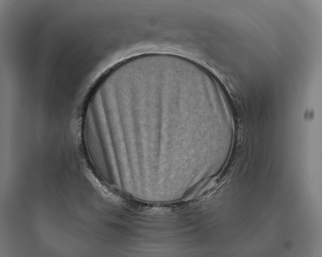 X0000093731503200711060948