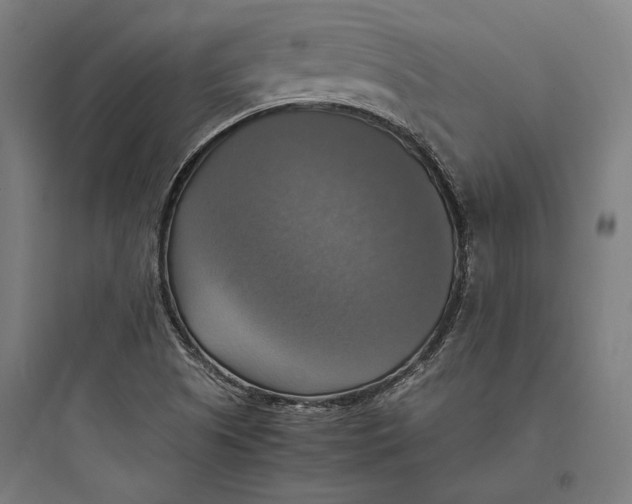 X0000093731505200711060949