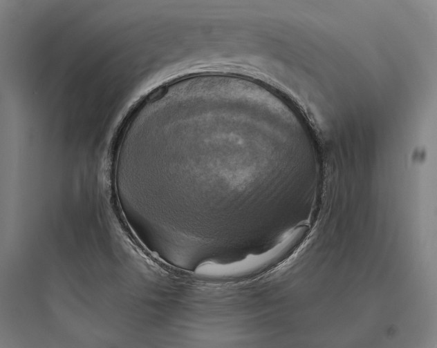 X0000093731506200711060949