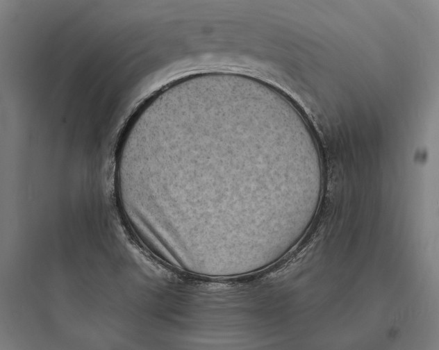 X0000093731507200711060949