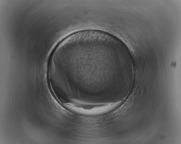 X0000093731508200711060949