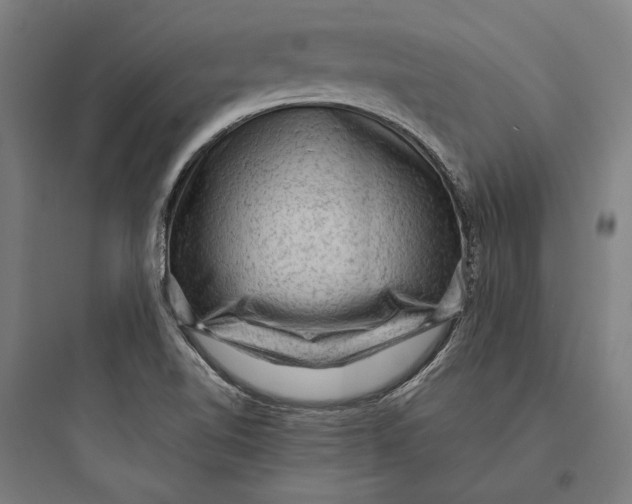 X0000093731510200711060949