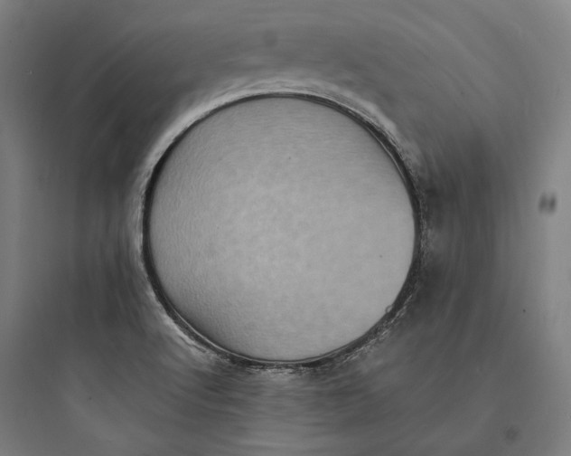 X0000093731512200711060949