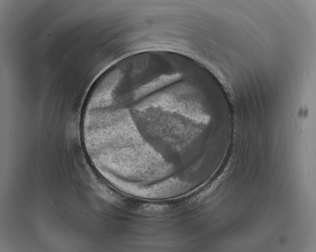 X0000093731513200711060949