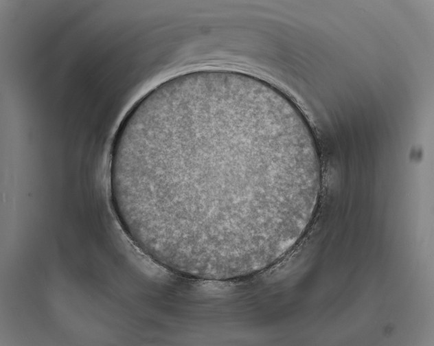 X0000093731514200711060949