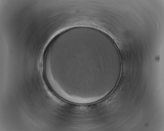 X0000093731515200711060949