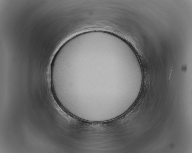 X0000093731516200711060949