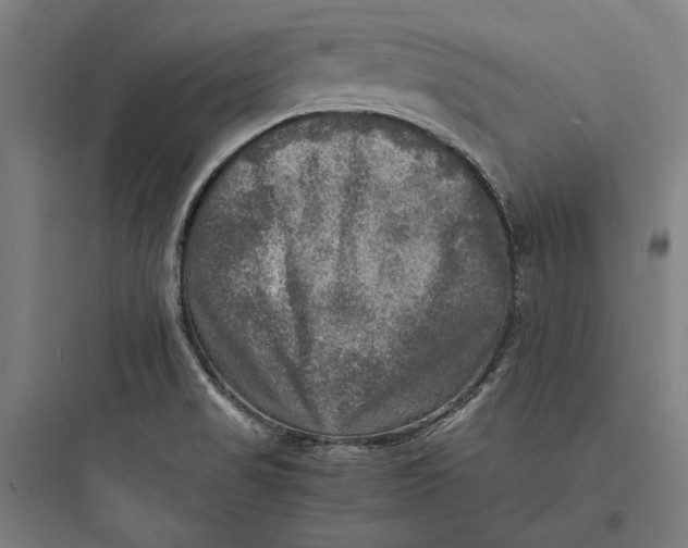 X0000093731517200711060949