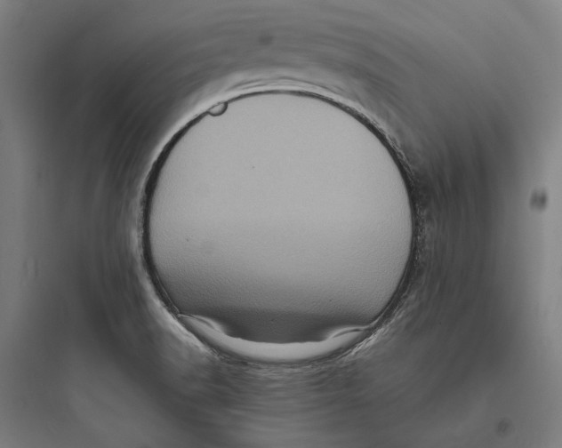 X0000093731518200711060949