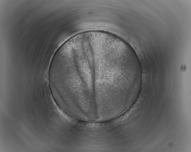 X0000093731521200711060949