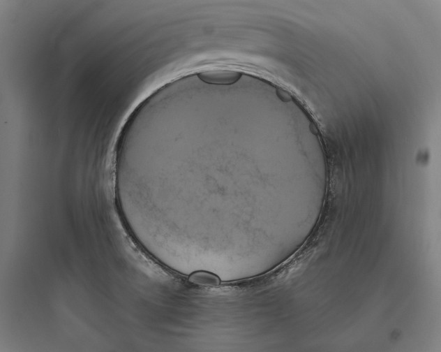 X0000093731522200711060949