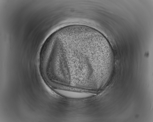 X0000093731523200711060949