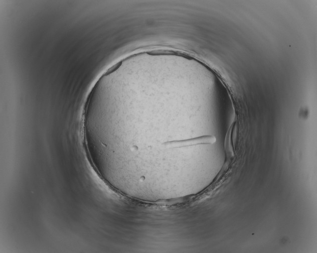 X0000093731524200711060949