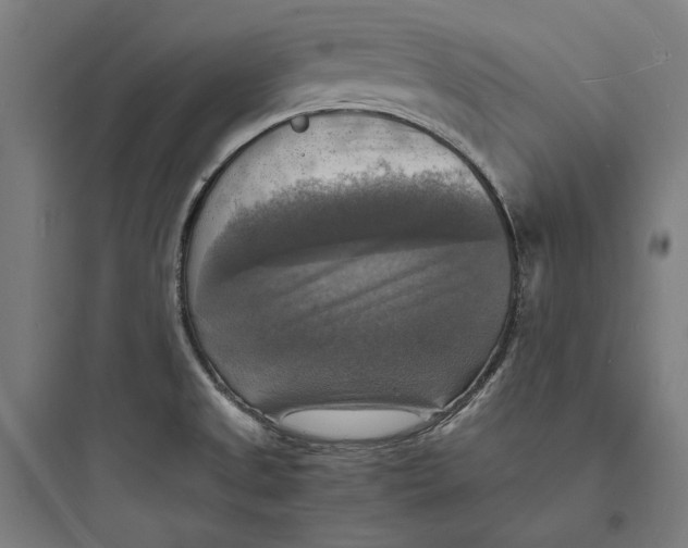 X0000093731525200711060949