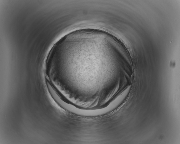 X0000093731528200711060949