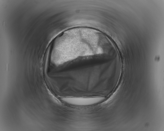 X0000093731529200711060949